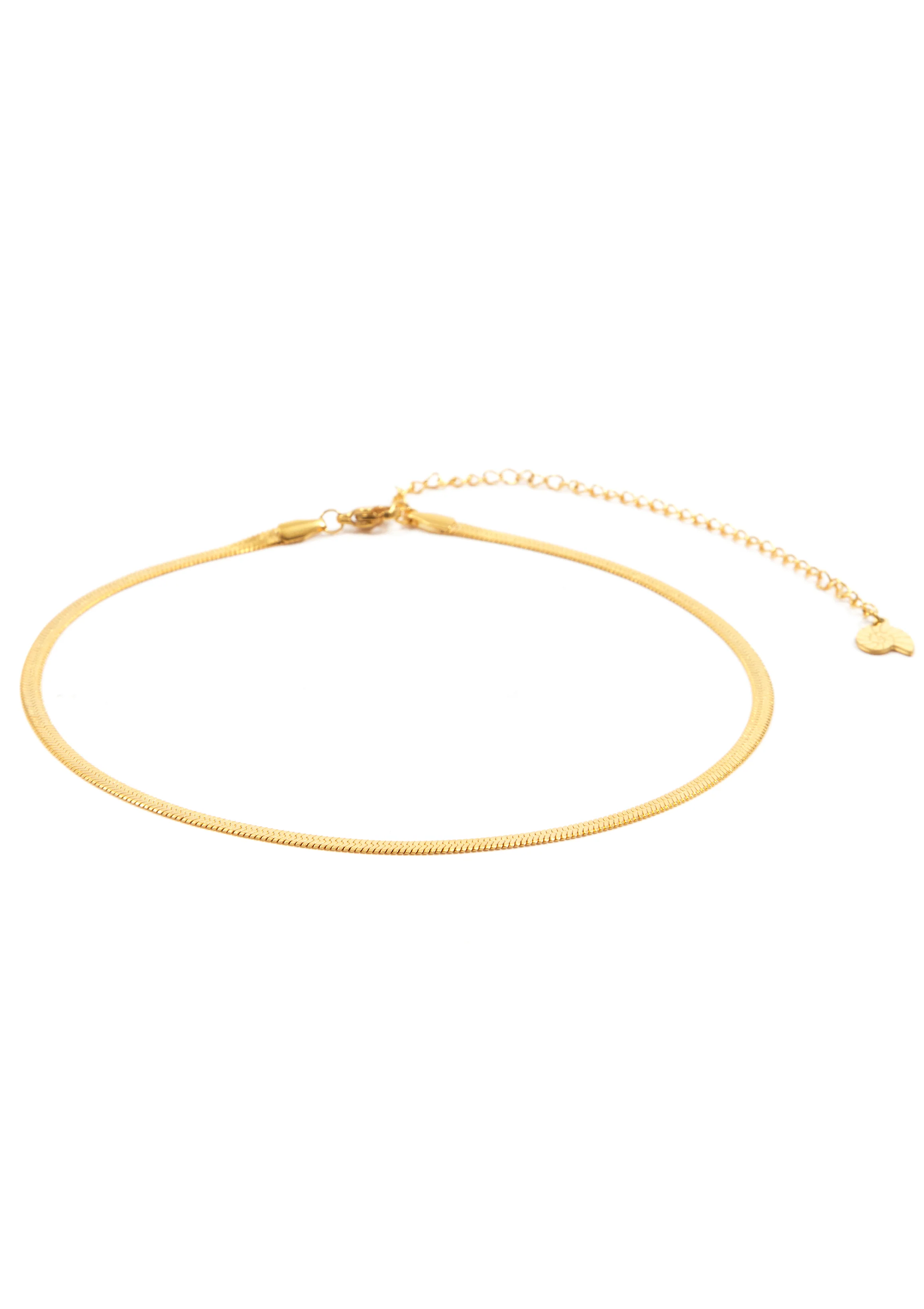 Simple Choker Gold - Image 7